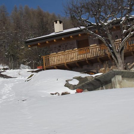 Agritur Maso Bornie Pensionat Grauno Eksteriør billede